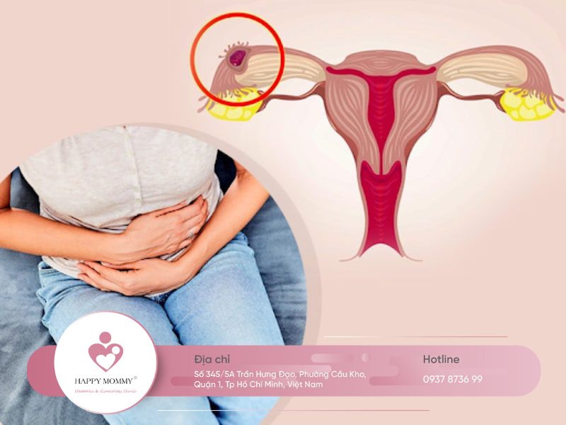 thai bình thường sẽ phát triển trong tử cung