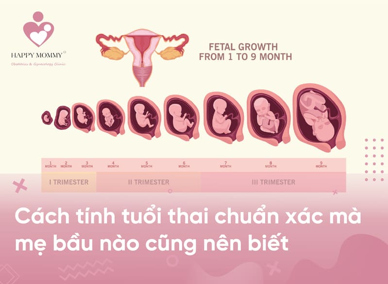 Cách tính tuổi thai chuẩn xác mà mẹ bầu nào cũng nên biết