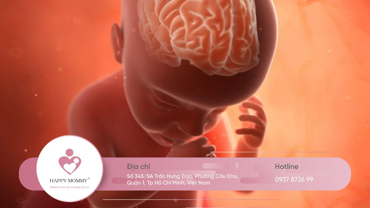Suy dinh dưỡng bào thai có thể dẫn đến tử vong cho trẻ