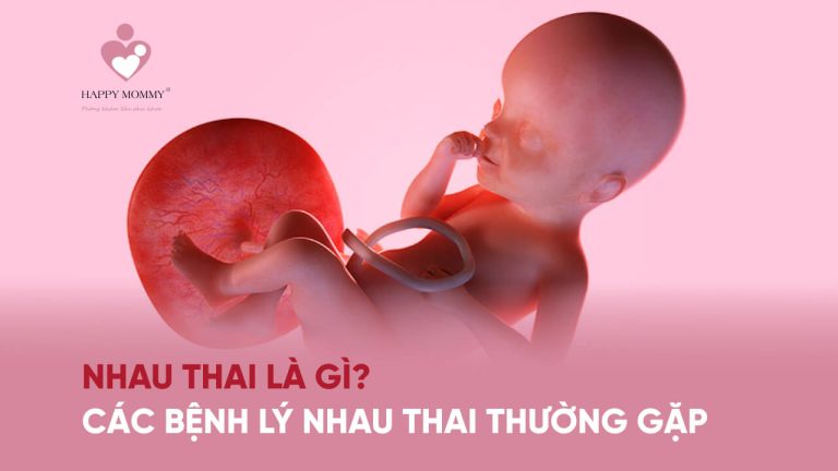 Nhau thai là gì? Các bệnh lý nhau thai thường gặp