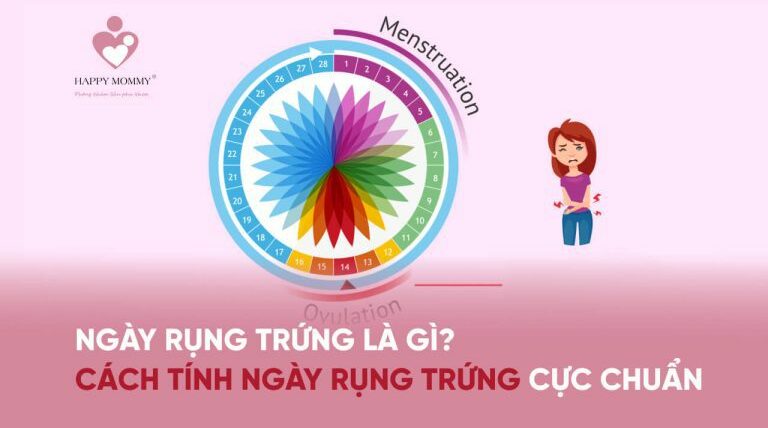 Ngày rụng trứng là gì? Cách tính ngày rụng trứng cực chuẩn