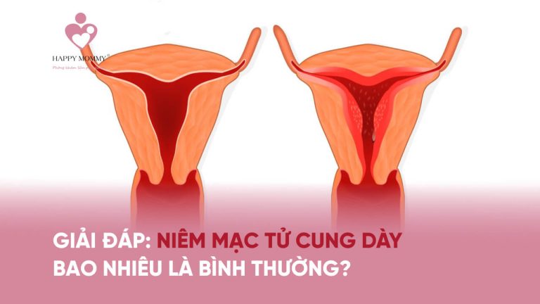 Giải đáp: Niêm mạc tử cung dày bao nhiêu là bình thường?