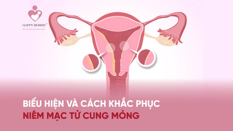 Biểu hiện và cách khắc phục niêm mạc tử cung mỏng