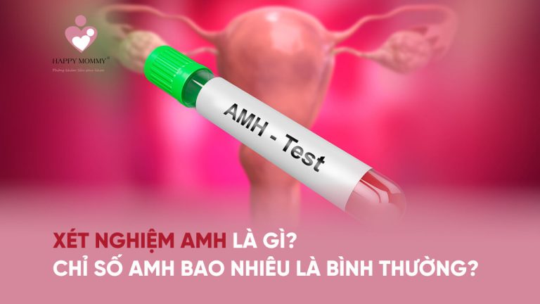 Xét nghiệm AMH là gì? Chỉ số AMH bao nhiêu là bình thường?