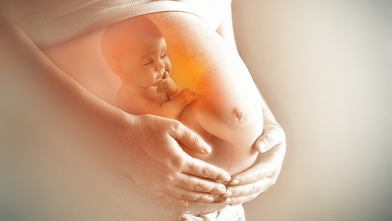 Nắm rõ cách tính tuổi thai IVF giúp mẹ bầu theo dõi sự phát triển của thai nhi