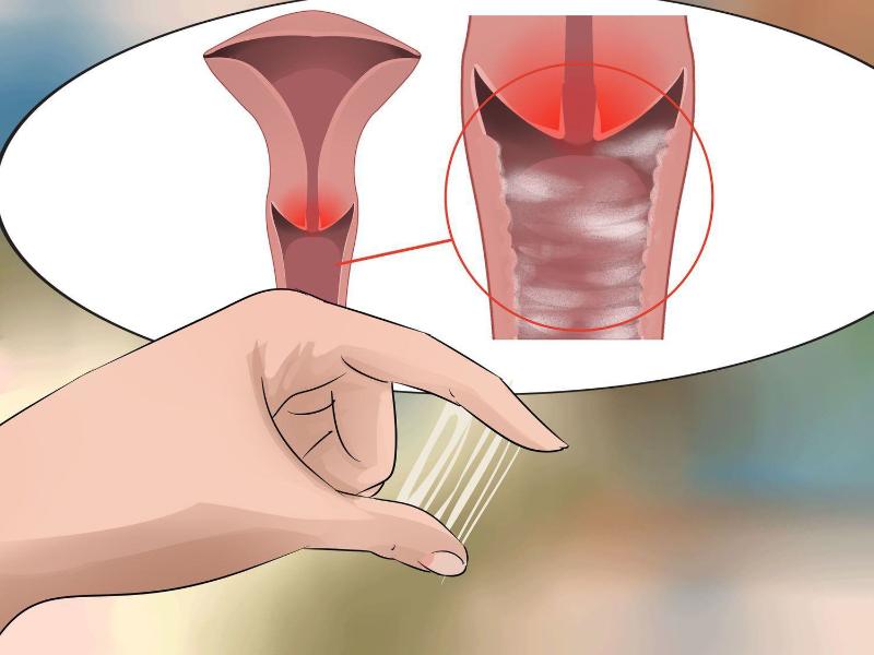 Chất nhầy tử cung xuất hiện do sự thay đổi hormone trong cơ thể