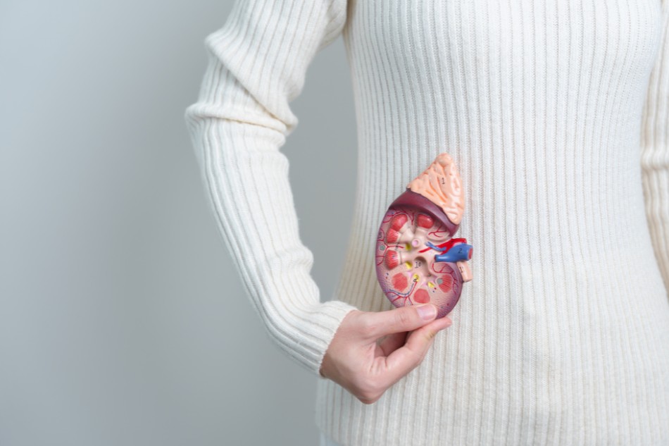 Bệnh về hệ bài tiết khiến xuất hiện cơn đau bụng dưới phía bên trái quằn quại